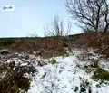 Снимка 5 — Парцел във Велико Търново, с. Присово