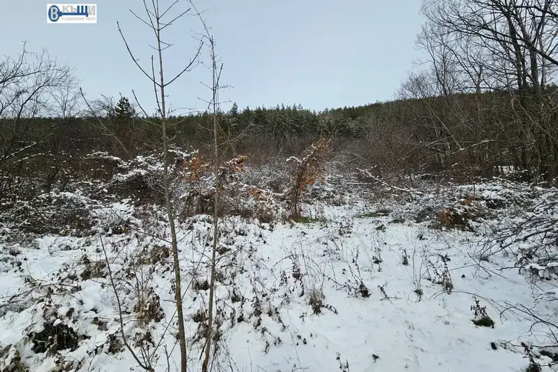 Plot in Oblast Veliko Tyrnovo, Prisovo