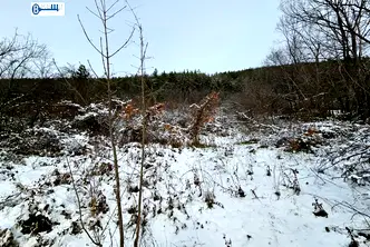 Парцел във Велико Търново, с. Присово