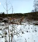 Парцел във Велико Търново, с. Присово