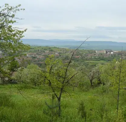 Photo 3 — Plot in Oblast Veliko Tyrnovo, Prisovo