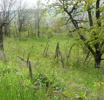 Photo 5 — Plot in Oblast Veliko Tyrnovo, Prisovo