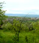 Парцел във Велико Търново, с. Присово