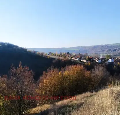 Снимка 3 — Парцел във Велико Търново, с. Пушево