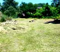 Снимка 3 — Парцел във Велико Търново, с. Първомайци