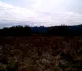 Снимка 2 — Парцел във Велико Търново, с. Първомайци