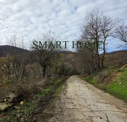 Photo 3 — Plot in Oblast Veliko Tyrnovo, с. Радковци
