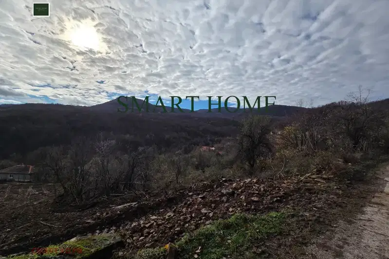 Plot in Oblast Veliko Tyrnovo, с. Радковци