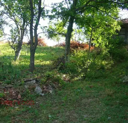 Photo 2 — Plot in Oblast Veliko Tyrnovo, с. Райновци