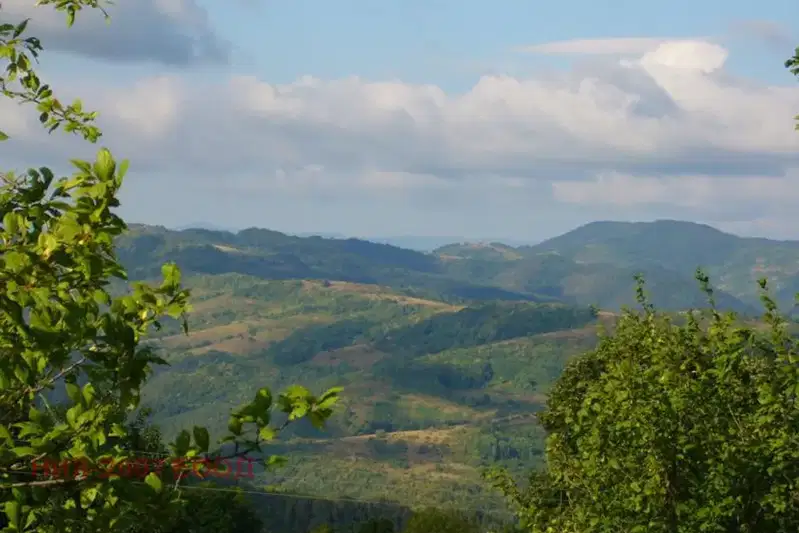 Plot in Oblast Veliko Tyrnovo, с. Райновци