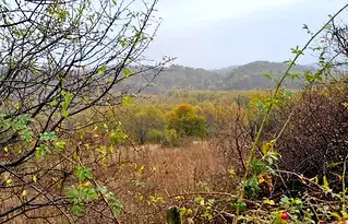 Парцел във Велико Търново, с. Равново