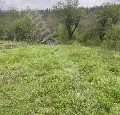 Photo 2 — Plot in Oblast Veliko Tyrnovo, Ruhovci