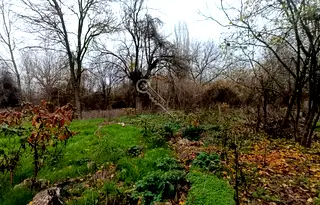 Парцел във Велико Търново, с. Русаля