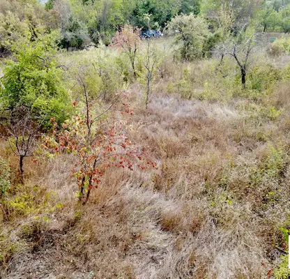Photo 5 — Plot in Oblast Veliko Tyrnovo, Samovodene