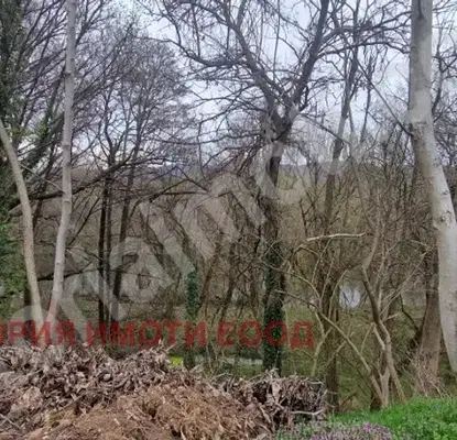 Photo 2 — Plot in Oblast Veliko Tyrnovo, Samovodene