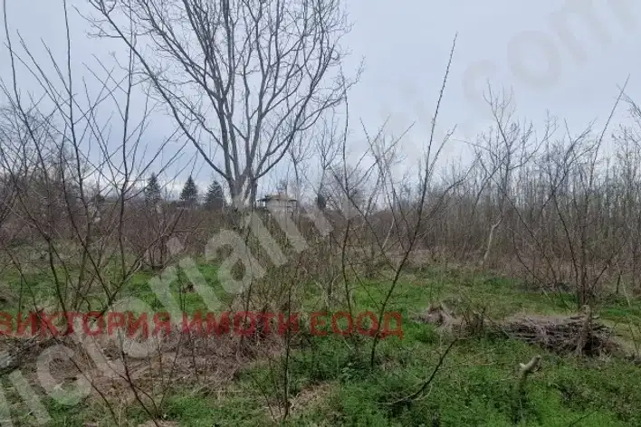Plot in Oblast Veliko Tyrnovo, Samovodene