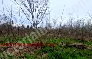 Парцел във Велико Търново, с. Самоводене