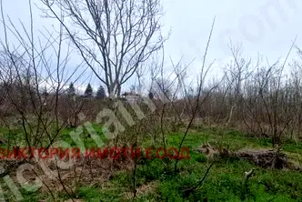 Парцел във Велико Търново, с. Самоводене
