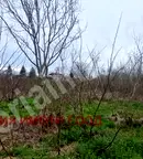 Парцел във Велико Търново, с. Самоводене