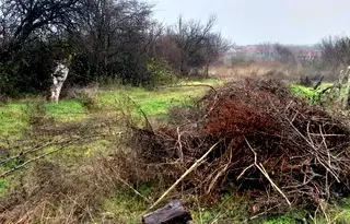 Парцел във Велико Търново, с. Самоводене