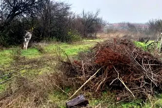 Парцел във Велико Търново, с. Самоводене