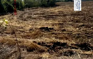 Парцел във Велико Търново, с. Самоводене