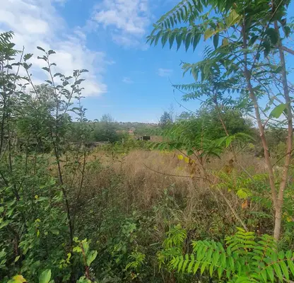 Photo 2 — Plot in Oblast Veliko Tyrnovo, Samovodene