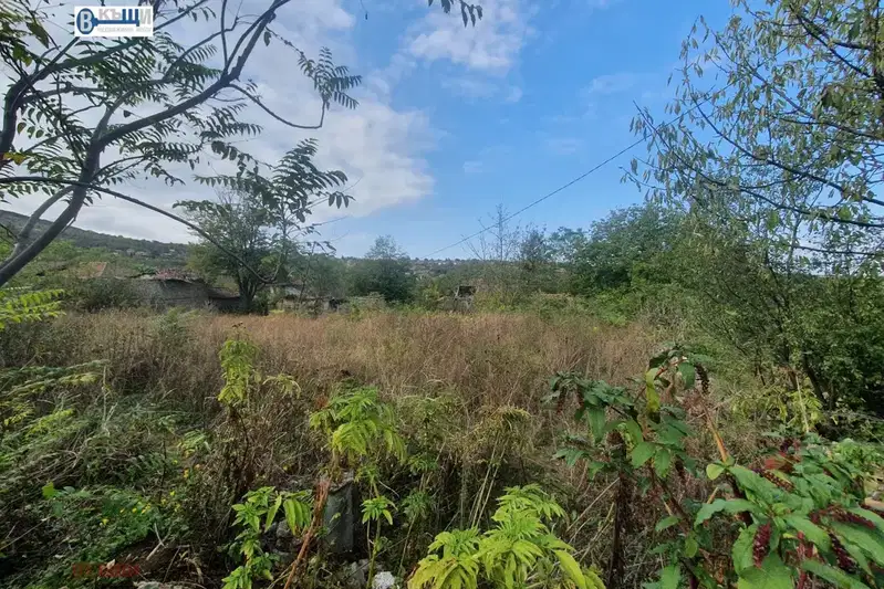 Plot in Oblast Veliko Tyrnovo, Samovodene