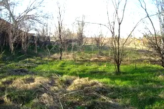 Парцел във Велико Търново, с. Самоводене