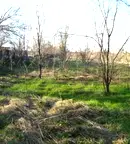 Парцел във Велико Търново, с. Самоводене