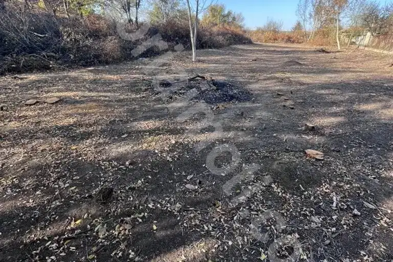 Plot in Oblast Veliko Tyrnovo, Samovodene