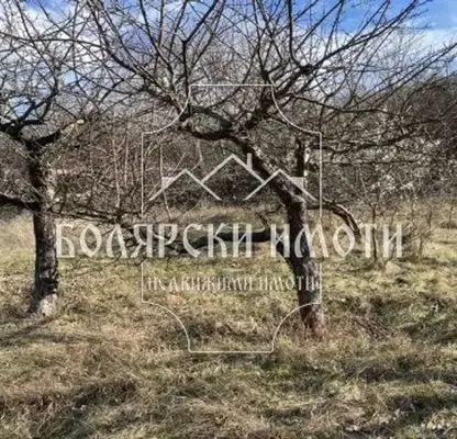 Снимка 2 — Парцел във Велико Търново, с. Самоводене