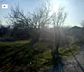 Снимка 3 — Парцел във Велико Търново, с. Самоводене