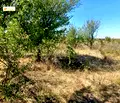 Снимка 2 — Парцел във Велико Търново, с. Самоводене