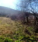 Парцел във Велико Търново, с. Шемшево
