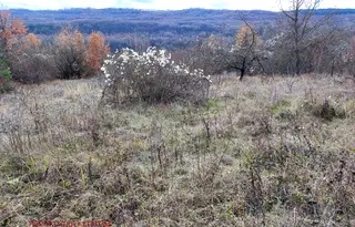 Парцел във Велико Търново, с. Шереметя