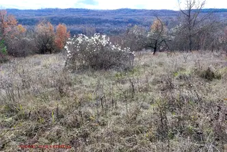 Парцел във Велико Търново, с. Шереметя