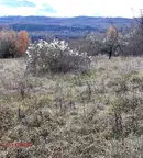 Парцел във Велико Търново, с. Шереметя