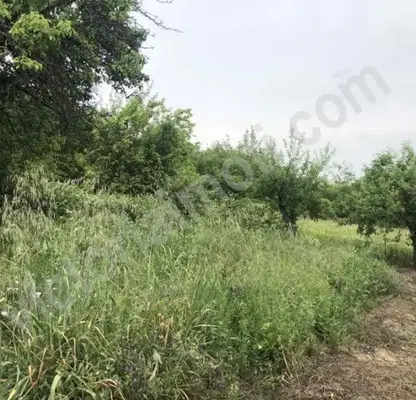 Photo 2 — Plot in Oblast Veliko Tyrnovo, Sheremetya