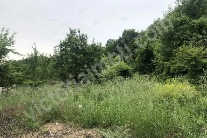 Plot in Oblast Veliko Tyrnovo, Sheremetya