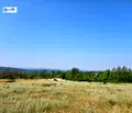 Снимка 2 — Парцел във Велико Търново, с. Шереметя
