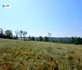 Снимка 3 — Парцел във Велико Търново, с. Шереметя