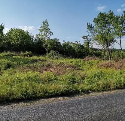 Photo 3 — Plot in Oblast Veliko Tyrnovo, Sheremetya