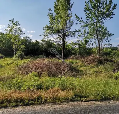 Photo 4 — Plot in Oblast Veliko Tyrnovo, Sheremetya