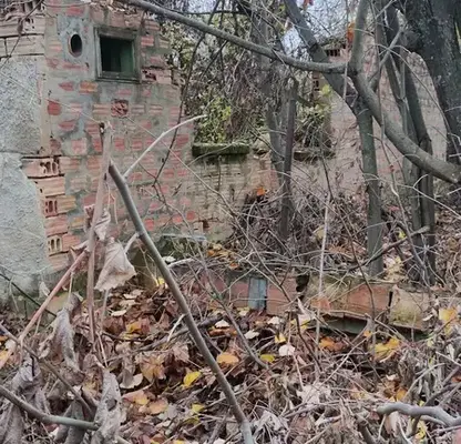Photo 2 — Plot in Oblast Veliko Tyrnovo, Sushica