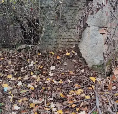 Photo 4 — Plot in Oblast Veliko Tyrnovo, Sushica