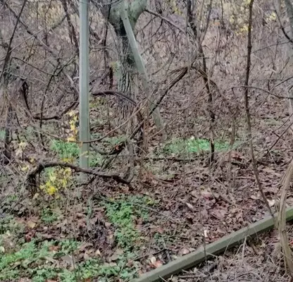Photo 5 — Plot in Oblast Veliko Tyrnovo, Sushica