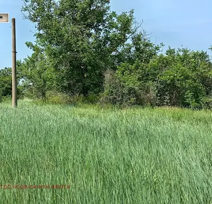 Photo 2 — Plot in Oblast Veliko Tyrnovo, Sushica