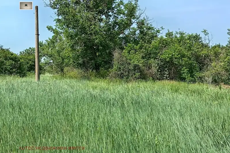 Plot in Oblast Veliko Tyrnovo, Sushica