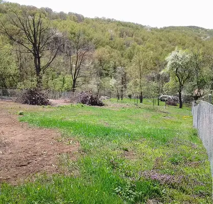 Photo 2 — Plot in Oblast Veliko Tyrnovo, с. Титевци